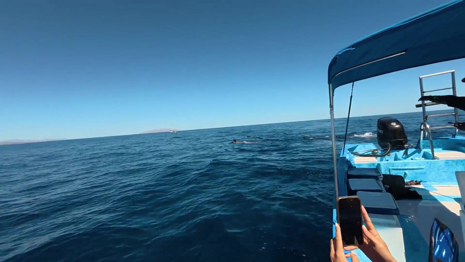 POV from a Bajablue expedition boat with orcas surfacing nearby